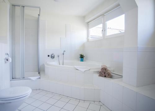 Landhaus Wiesemann - Parkappartements