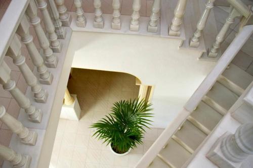 Hotel Mi Casa