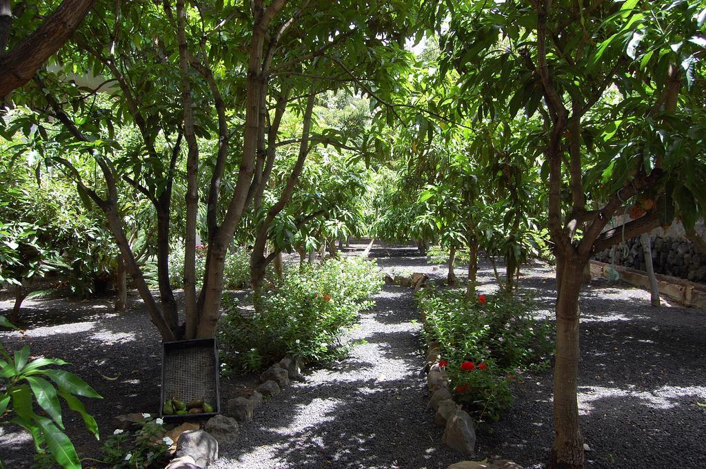Apartamentos Borbalán y La Roseta