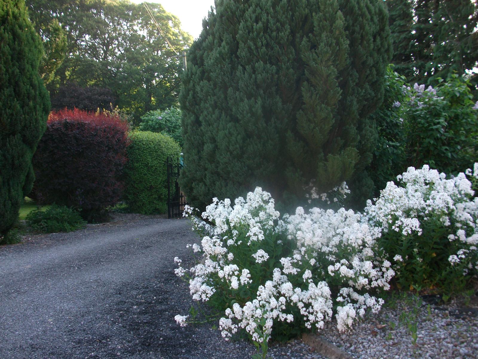Castleview Farm Bed & Breakfast