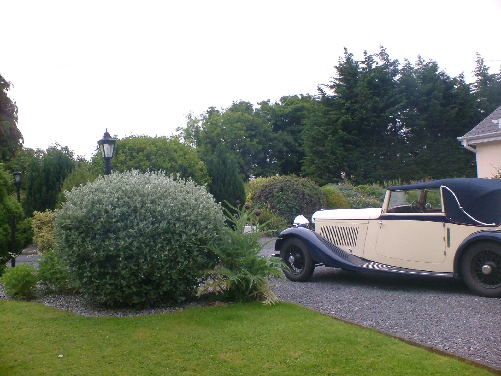 Castleview Farm Bed & Breakfast