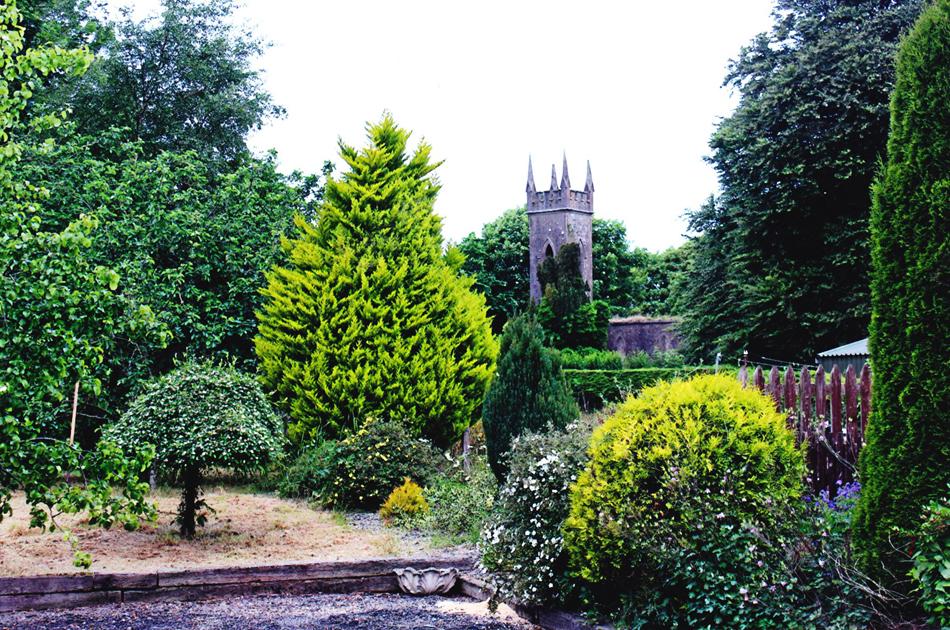 Castleview Farm Bed & Breakfast