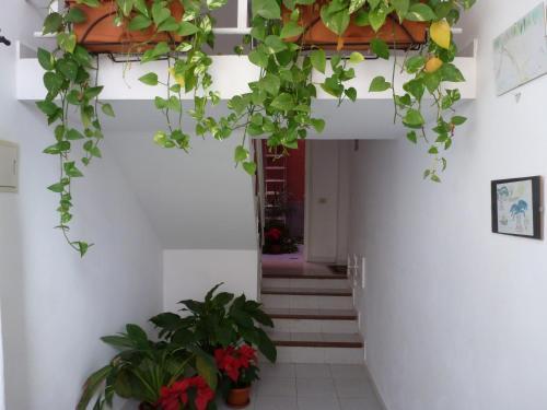Apartamentos Bellavista Gomera