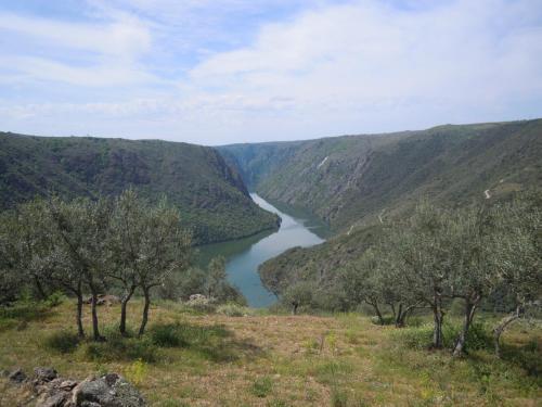 Rinconada de las Arribes