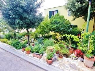Apartments Irena