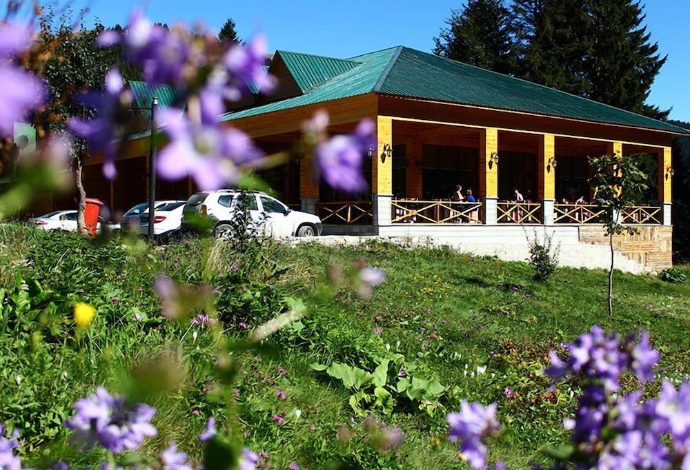 Zitas Zigana Holiday Resort