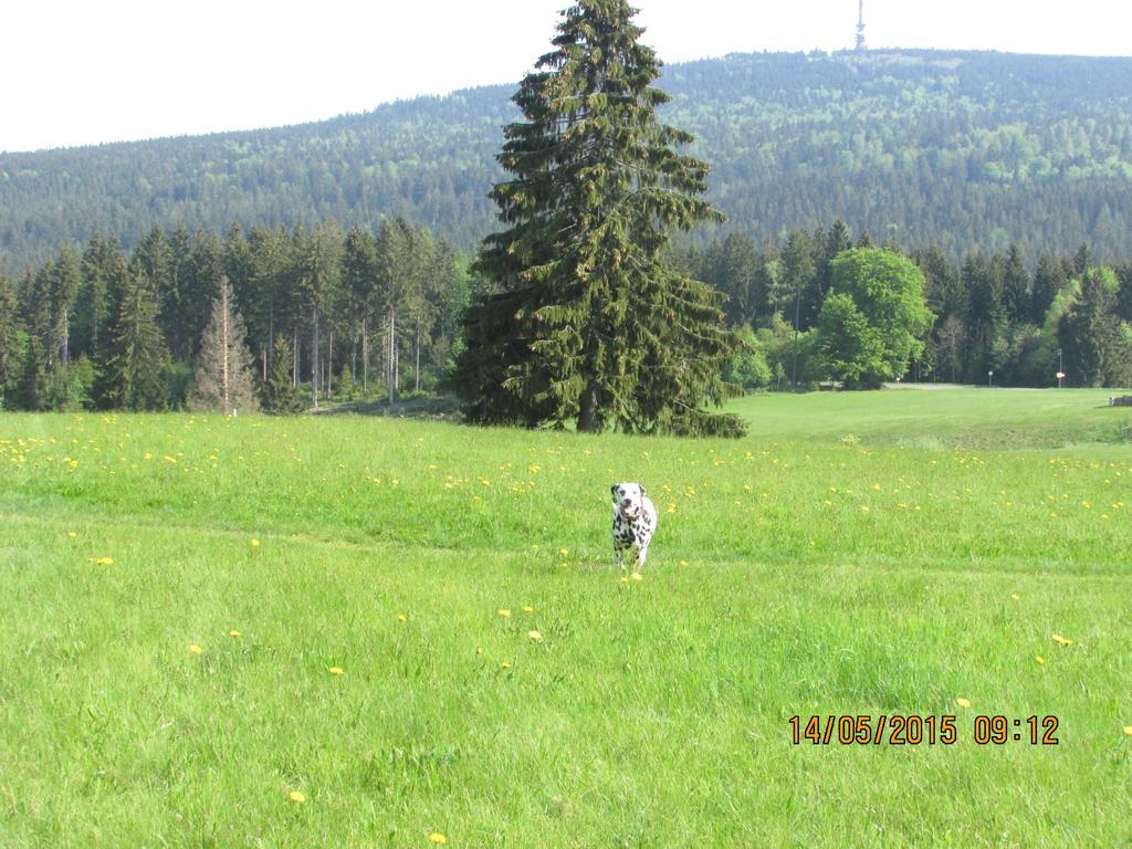 Pension Maddox