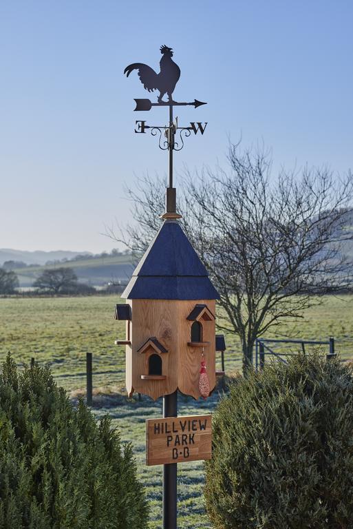 Hillview Park B&B