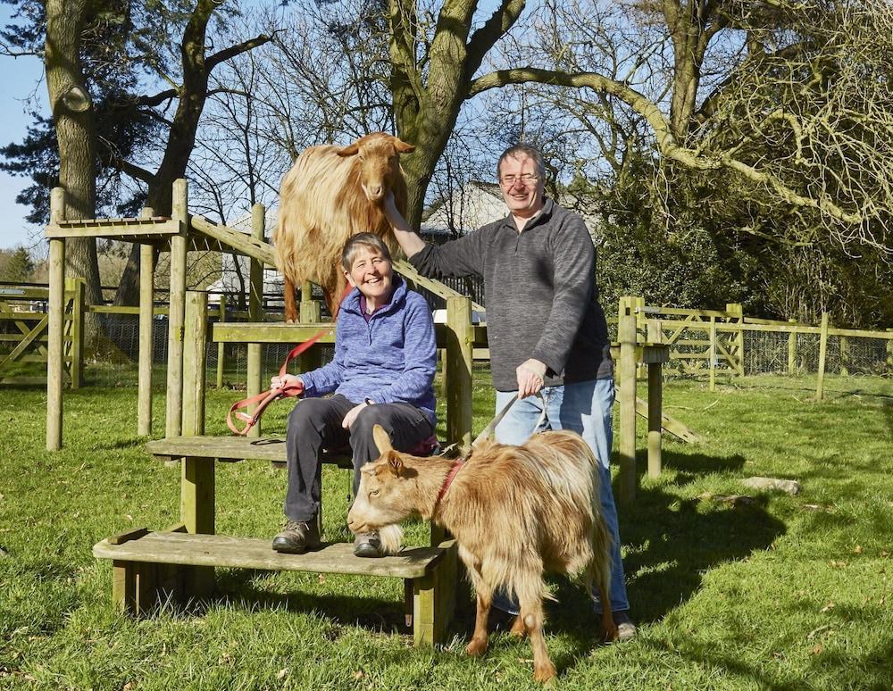 Rawcliffe House Farm