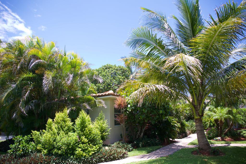 Royal Flamingo Villas