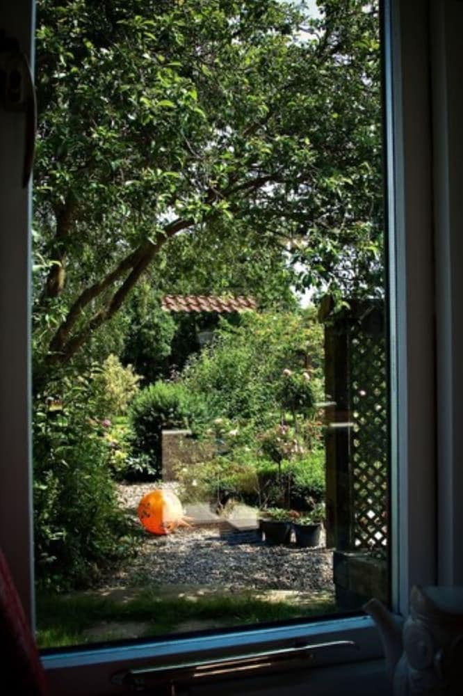Mollett’s Farm
