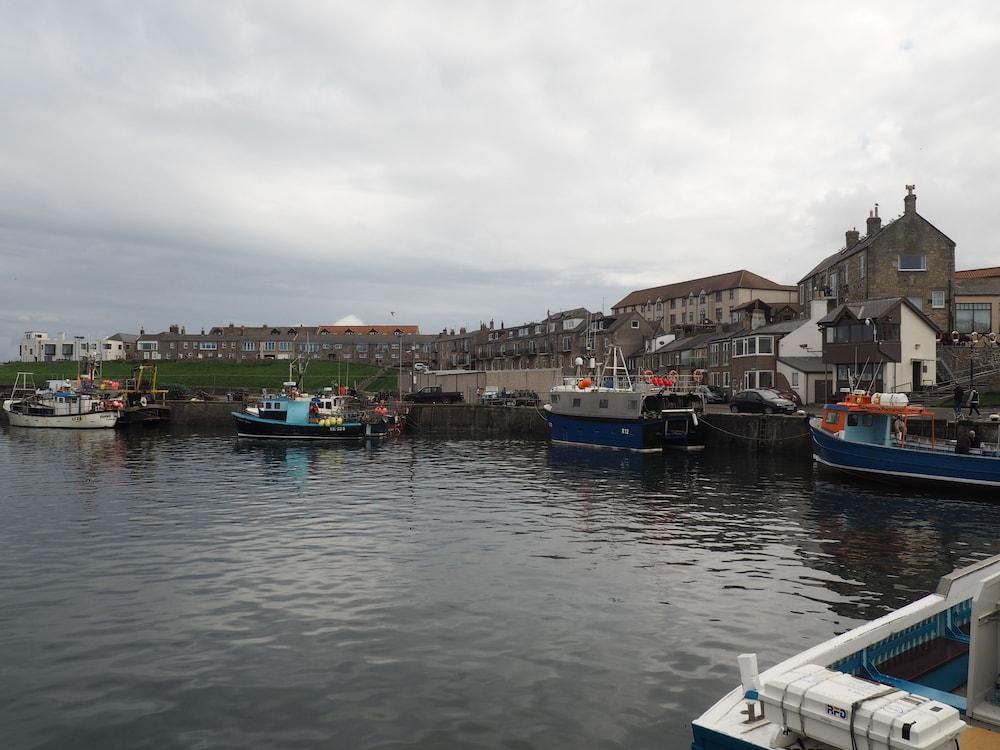 Little Haven