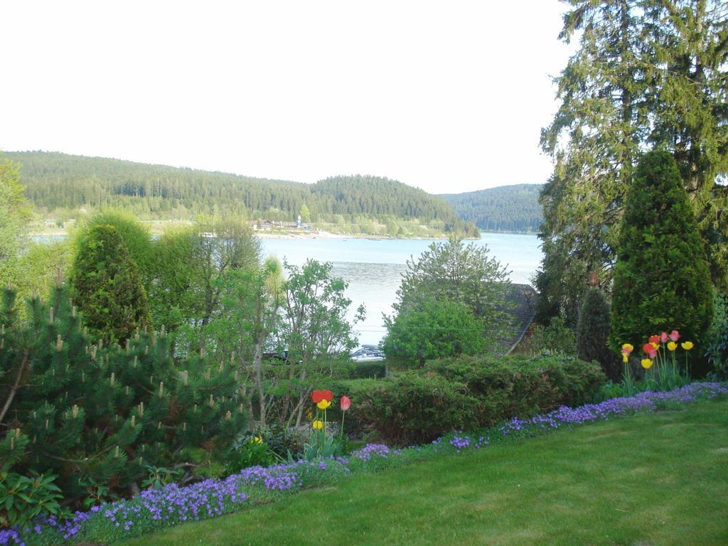 Appartement SUNSIDE-OASE am Schluchsee
