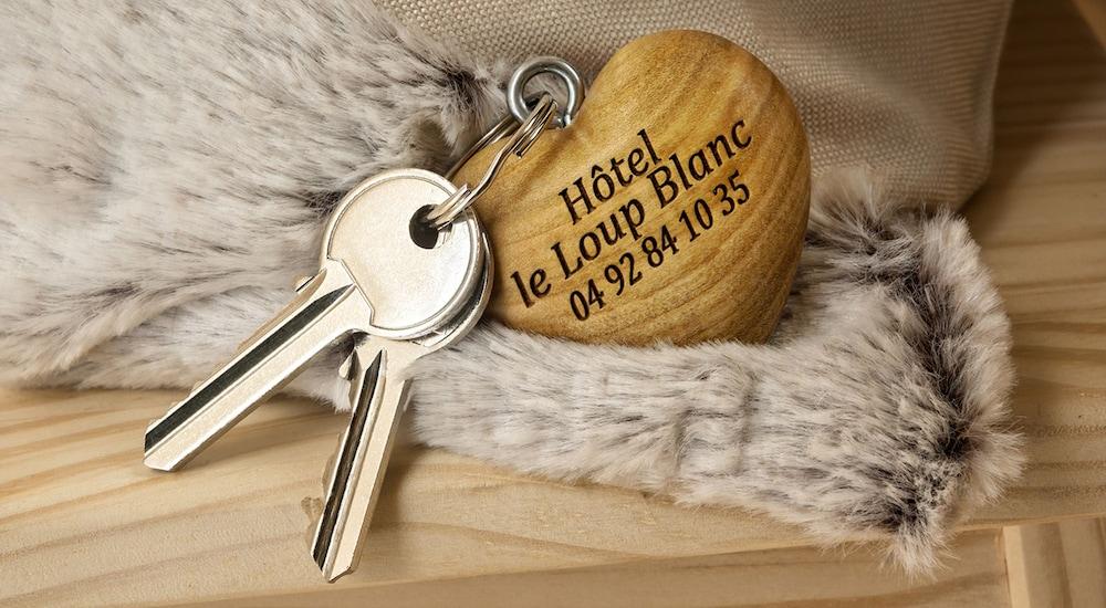 Hotel Le Loup Blanc