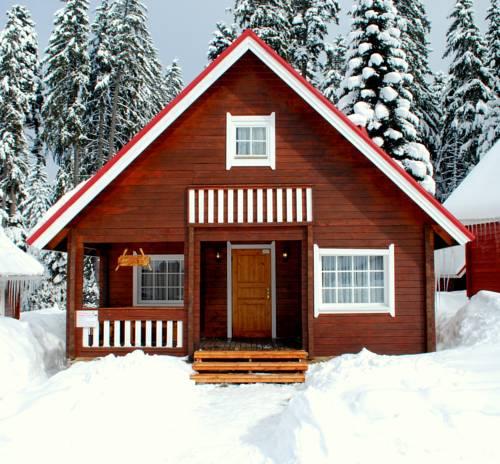 Ski Chalet Borovets