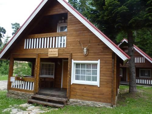 Ski Chalet Borovets