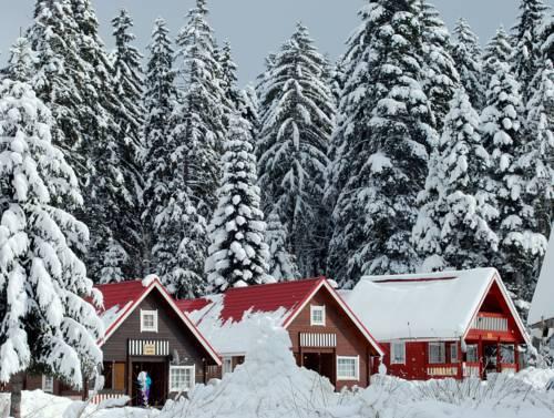 Ski Chalet Borovets