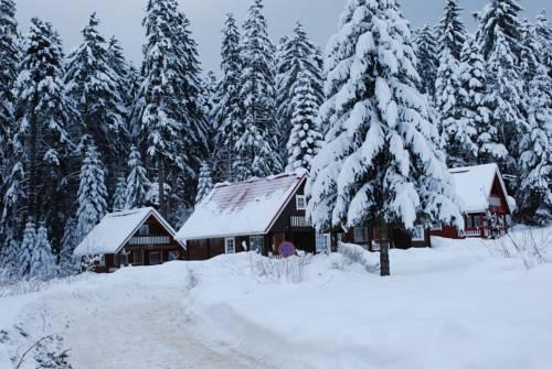 Ski Chalet Borovets