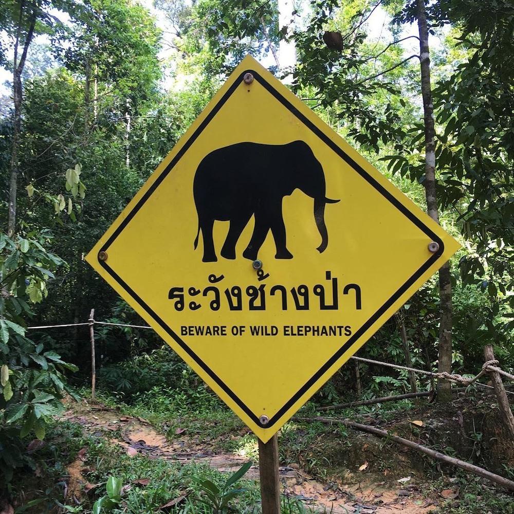 Panvaree Resort