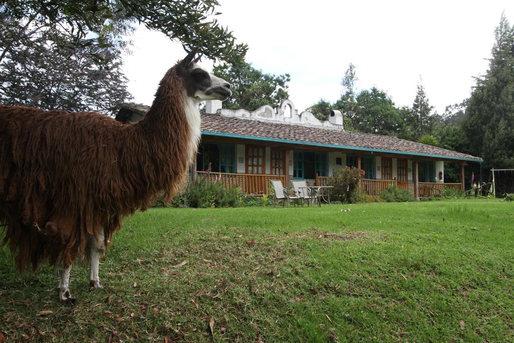 Las Palmeras Inn