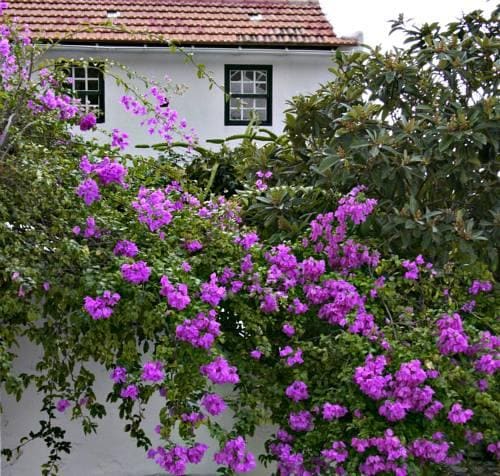 El Sitio