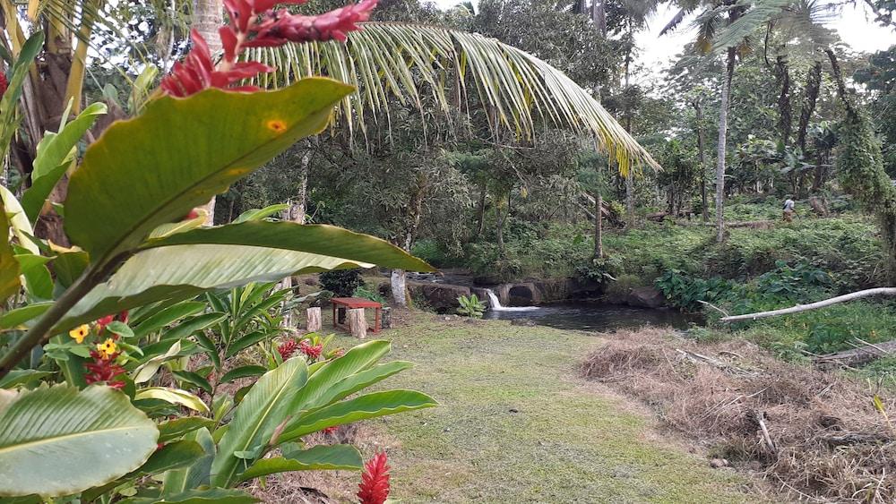 Dave Parker's Eco Lodge