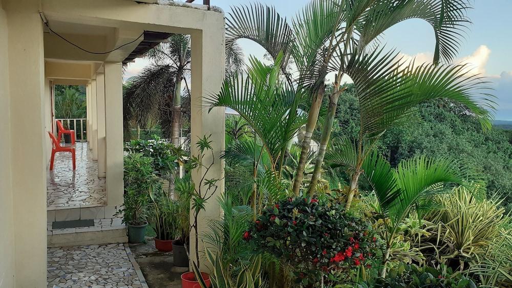 Dave Parker's Eco Lodge