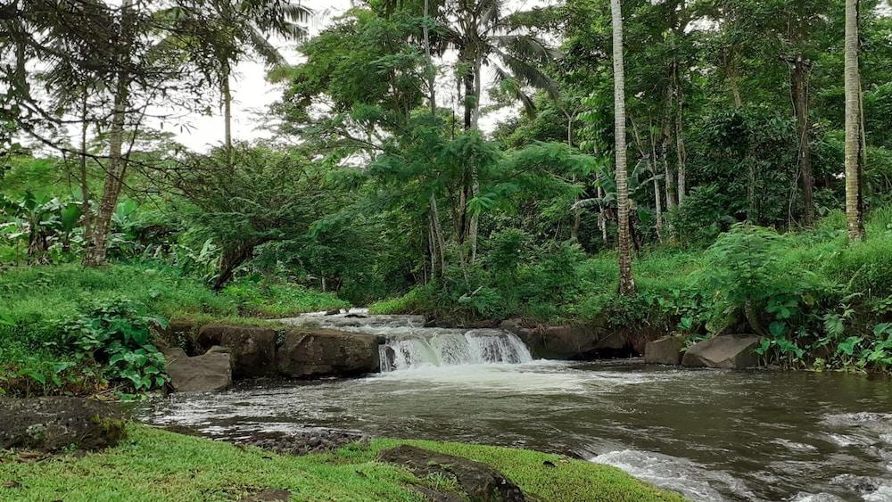 Dave Parker's Eco Lodge