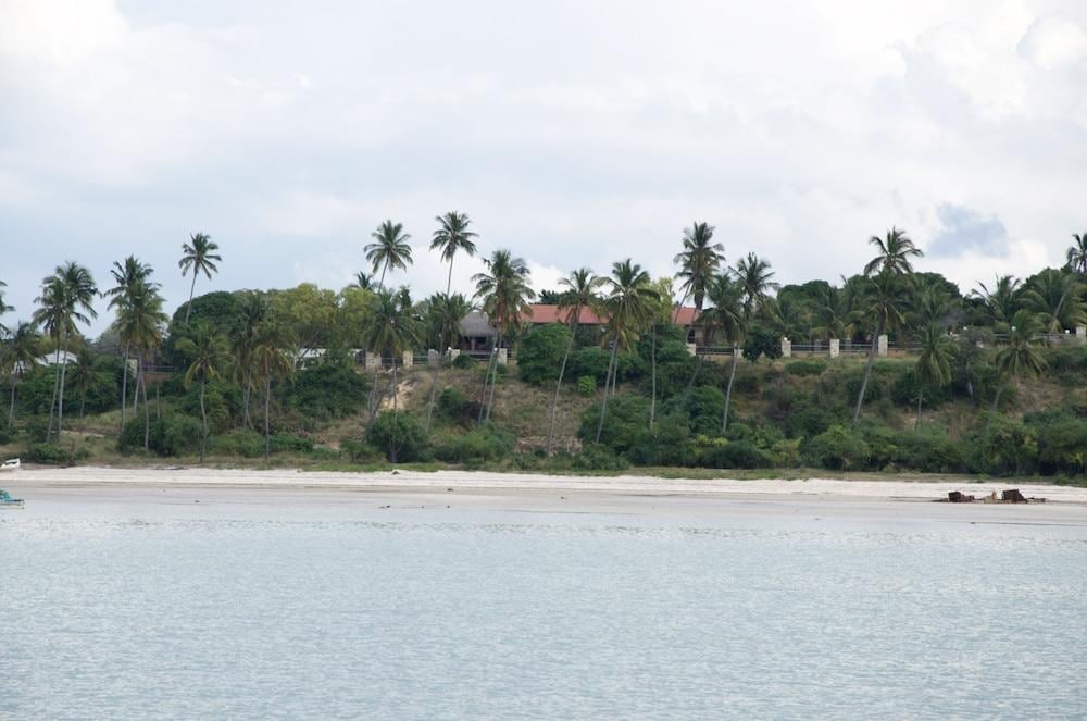 Aguia Negra