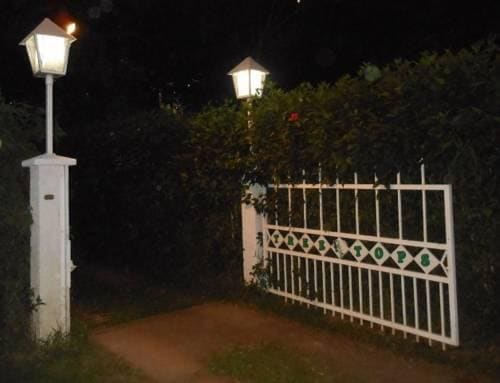Treetops Lodge & Bungalows