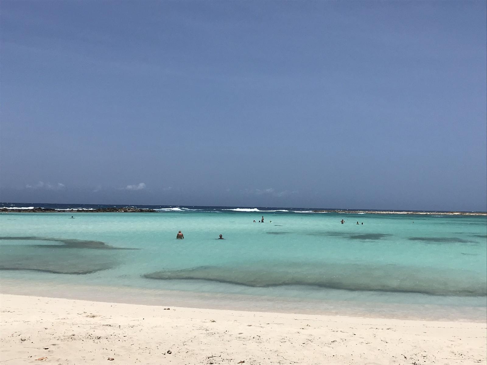 Jardines Del Mar