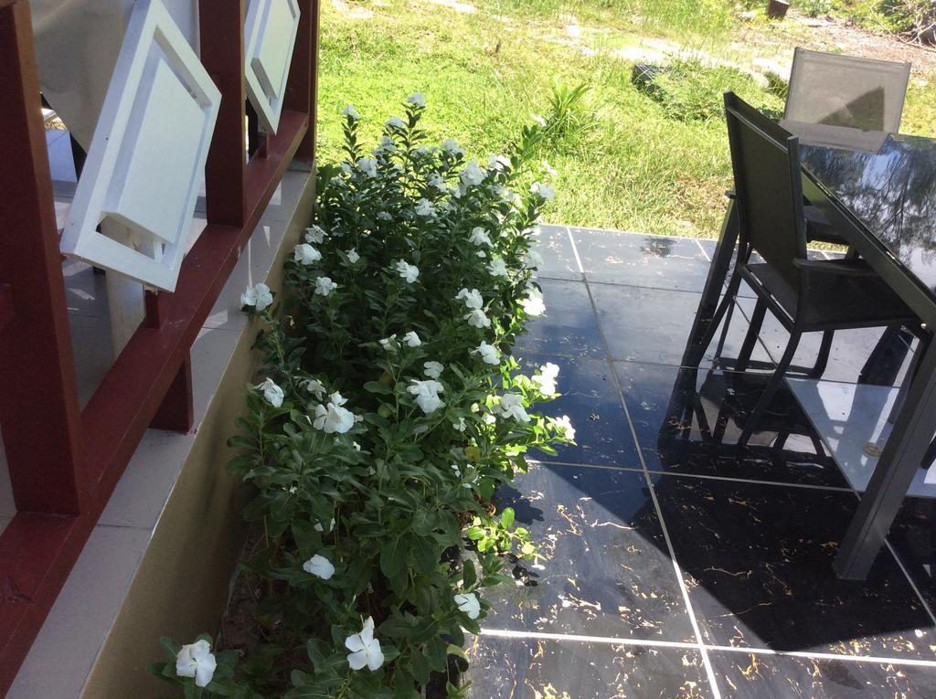 Agnes Cottage - Emerald