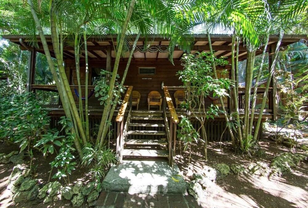 Mango Inn