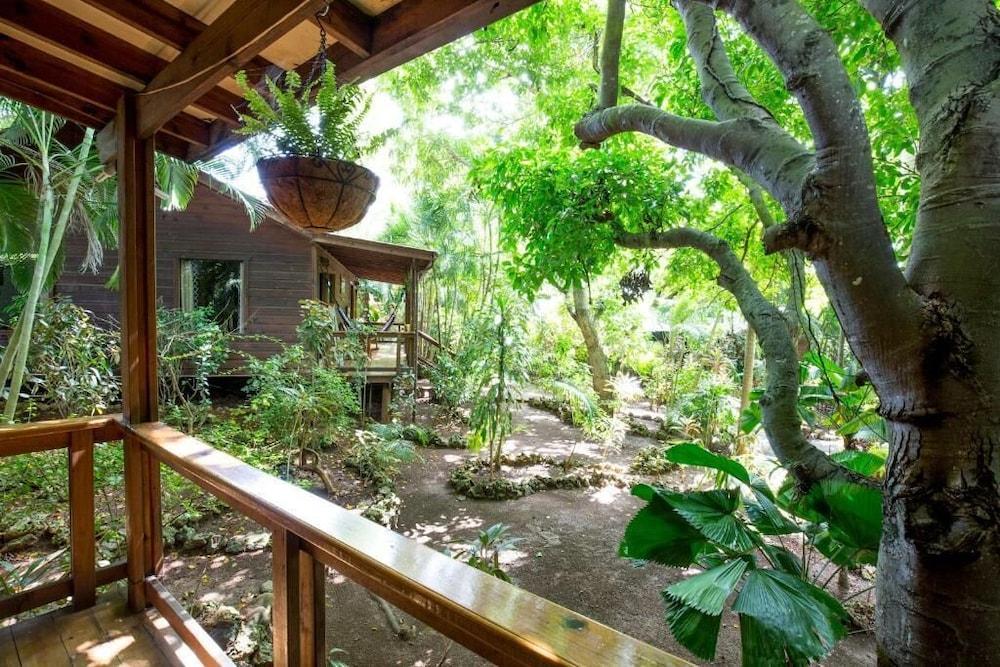 Mango Inn