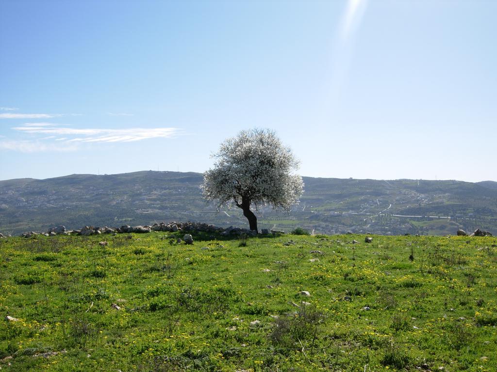 Ajloun Hotel