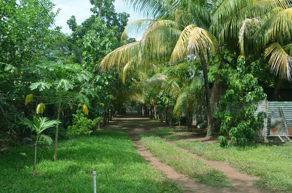 Hostal Casa los Cocos