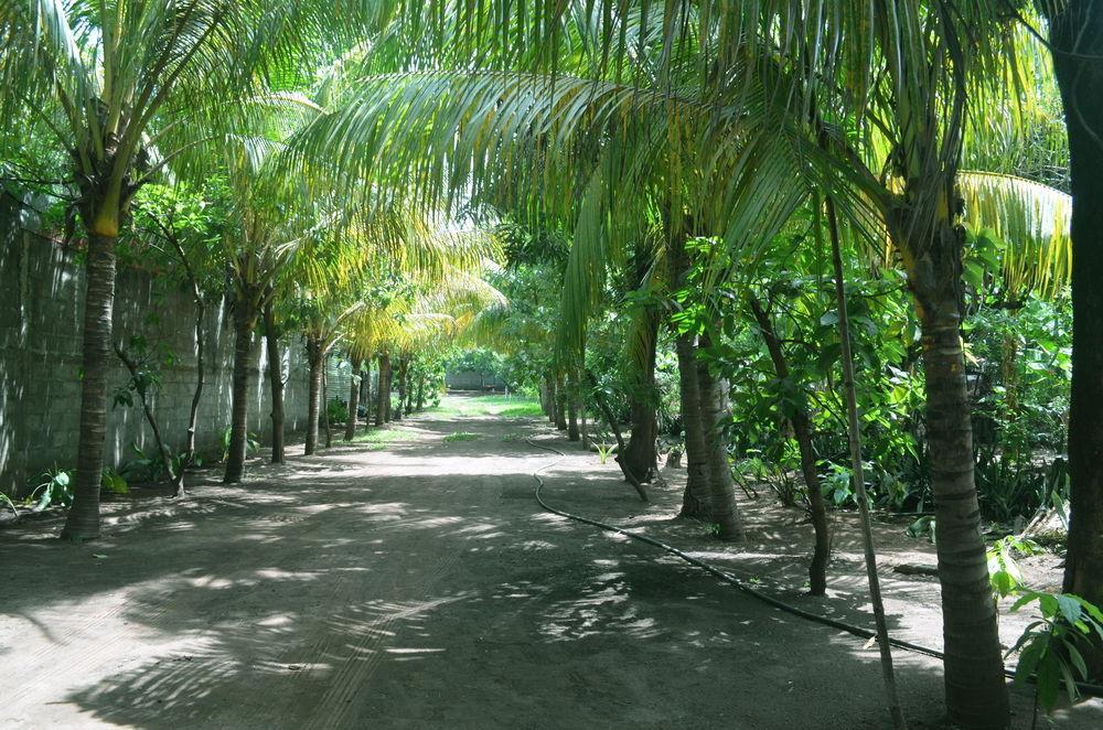 Hostal Casa los Cocos