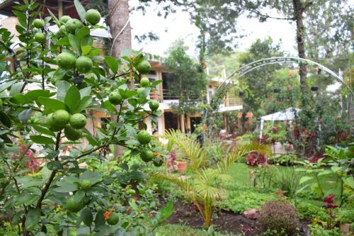 Pescador Hotel PH