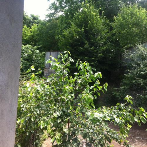 Ilgars Guesthouse