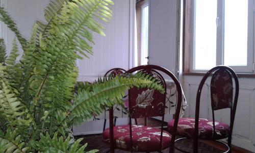 Ilgars Guesthouse
