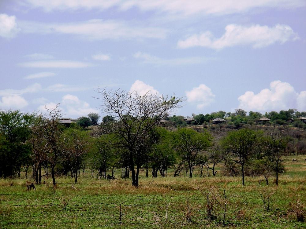 Mbalageti Serengeti Zeltcamp