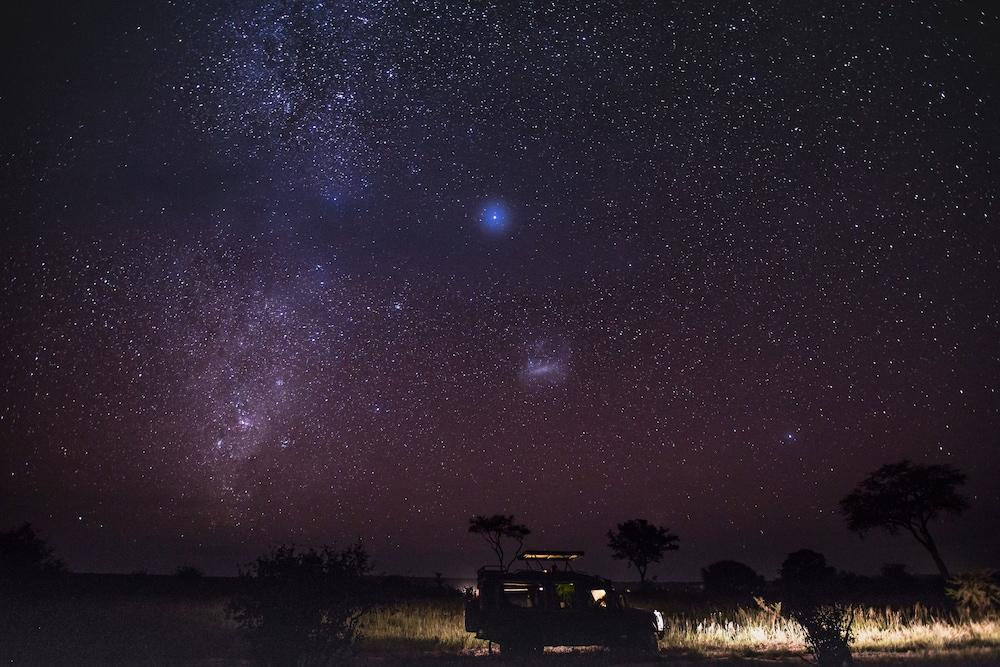 Tarangire Treetops
