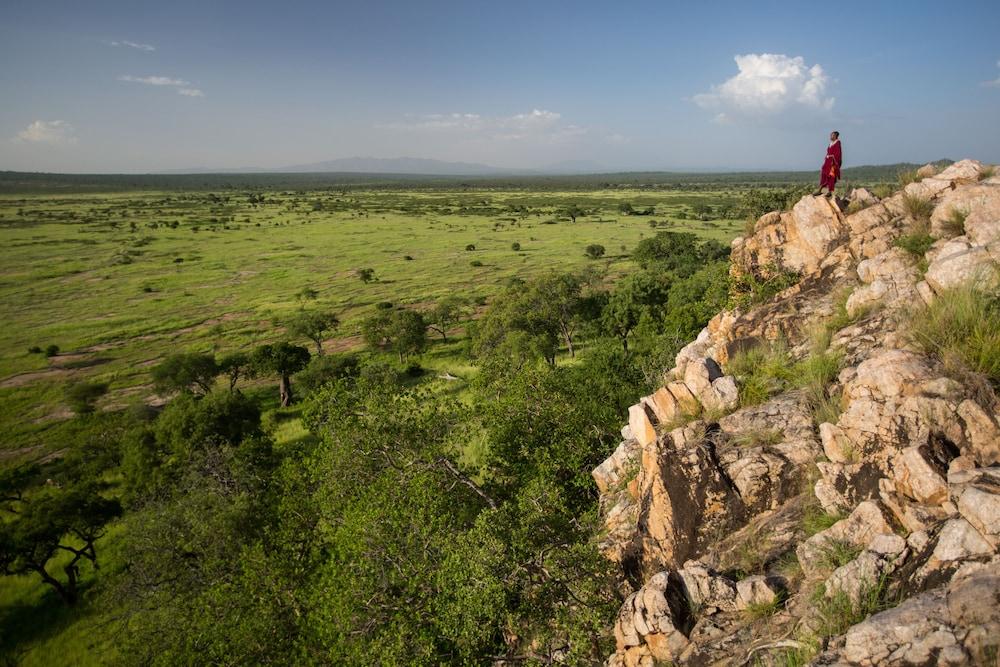 Tarangire Treetops