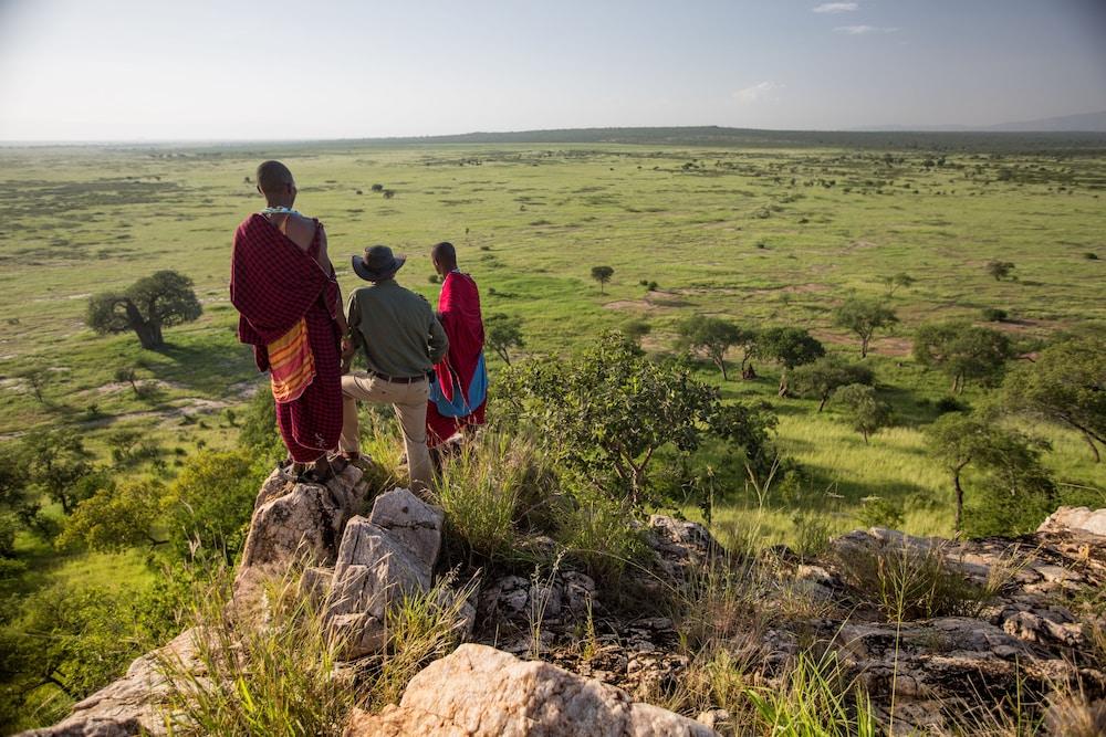 Tarangire Treetops