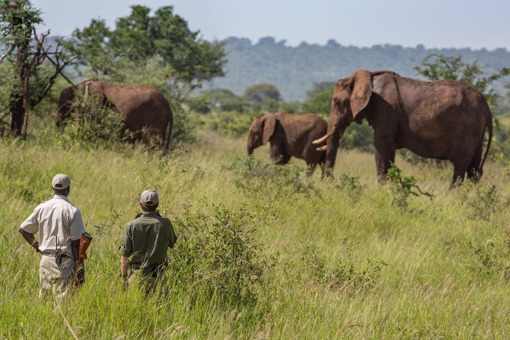 Tarangire Treetops