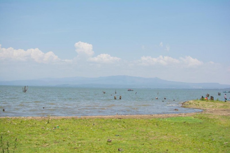 Burchs Resort Naivasha