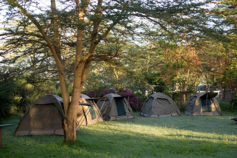 Burchs Resort Naivasha