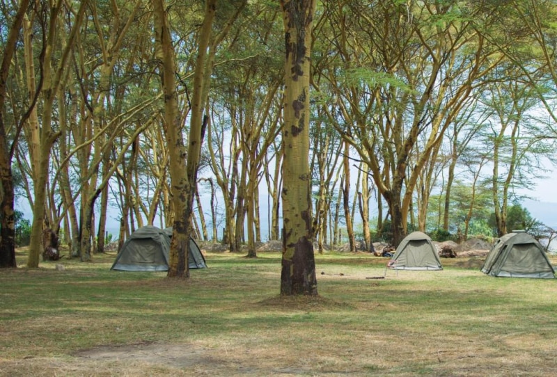 Burchs Resort Naivasha