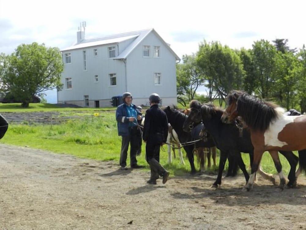 Farmer's Guest House and Farm