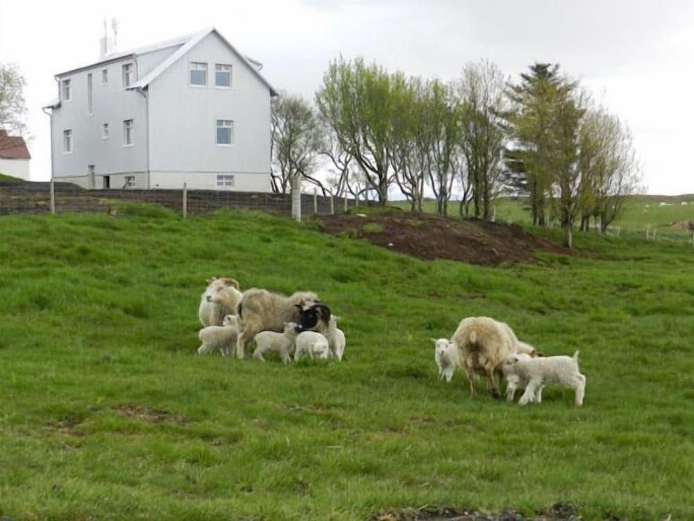 Farmer's Guest House and Farm